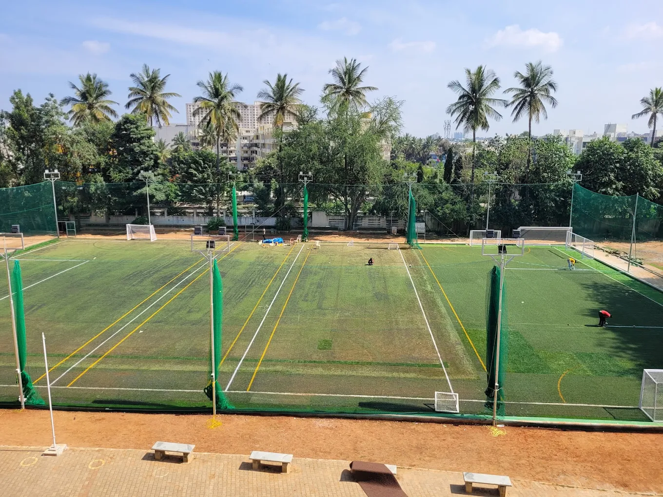 Daytime turf with palm trees